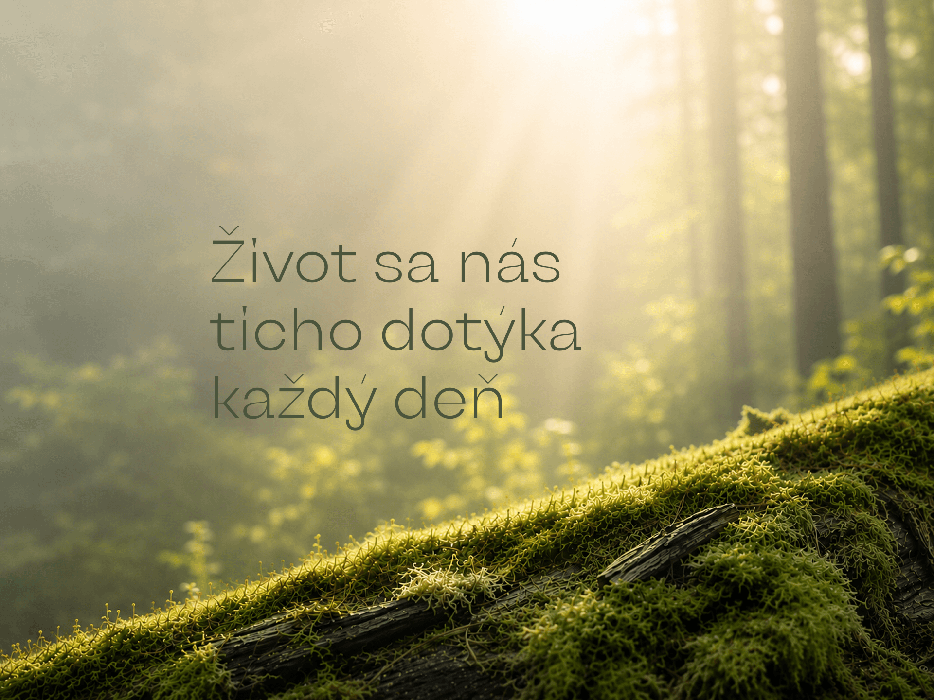 Život sa nás ticho dotýka každý deň